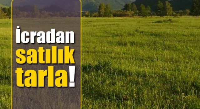 Muğla Milas'ta 12.140 m² Tarla İcradan Satılıktır