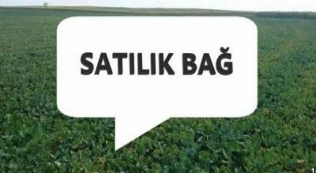 Çanakkale Çardak Köyü'nde 2.066 M² Bağ Mahkemeden Satılıktır