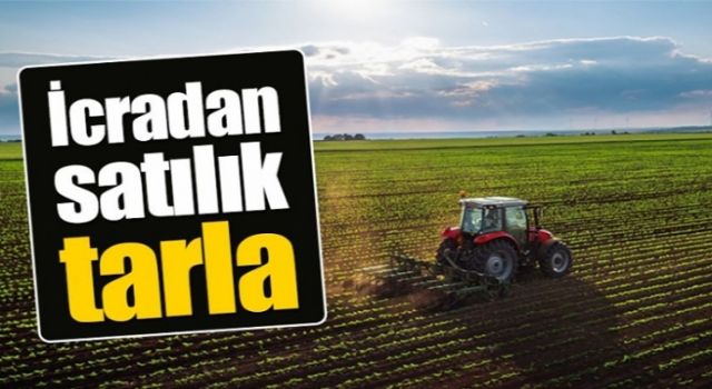 Çorum’da İcradan Satılık Tarla