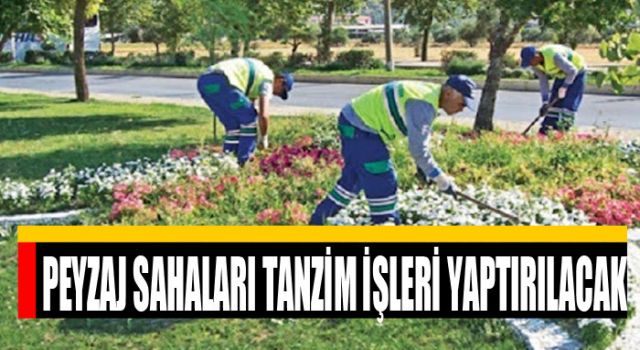 Peyzaj Sahaları Tanzim İşleri Yaptırılacak