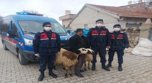 JASAT Koyun Hırsızlarına Göz Açtırmadı