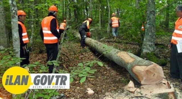 Kontrolörlük ve Teknik Danışmanlık Hizmeti Alınacak