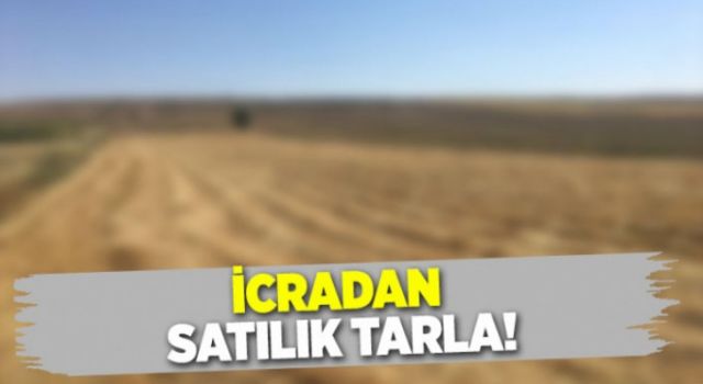 Artuklu’da İcradan Satılık Tarla