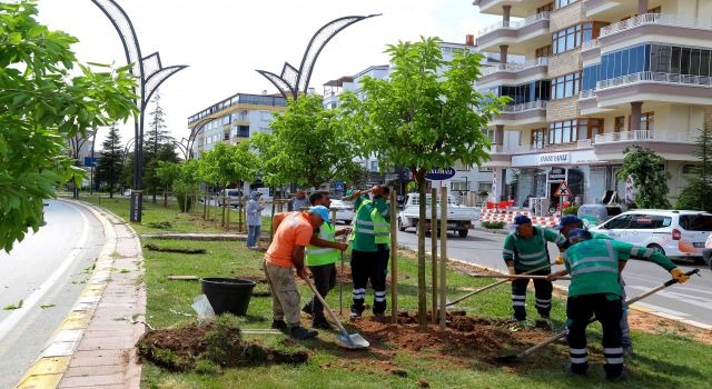 Dinçer “Geleceğimiz İçin Fidan Dikiyoruz”