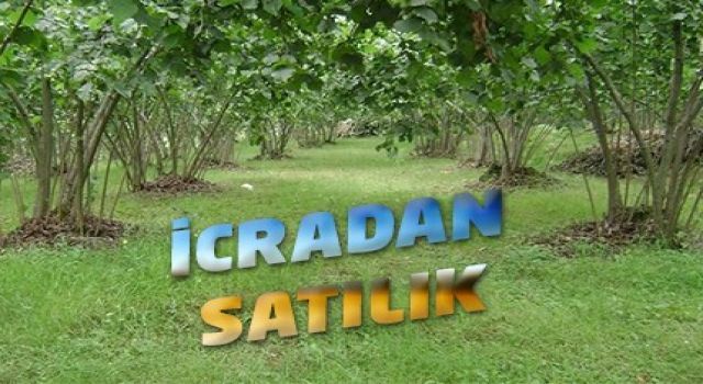 İcradan Satılık Meyve Bahçesi