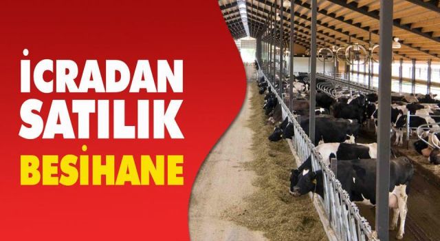 Söke’de İcradan Satılık Besihane