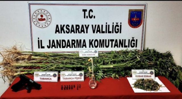 Jandarma Zehir Tacirlerine Göz Açtırmıyor