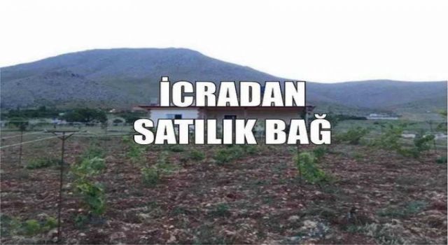 İcradan Satılık Bağ