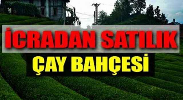 İcradan Satılık Çay Bahçesi