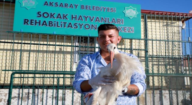 Yaralı Leyleğe Belediye Sahip Çıktı