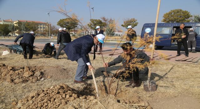 Yeşil ASÜ İçin Fidanlar Toprakla Buluştu