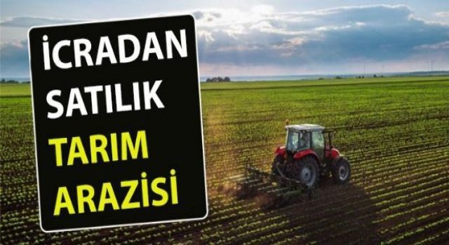 İcradan Satılık Tarım Arazisi