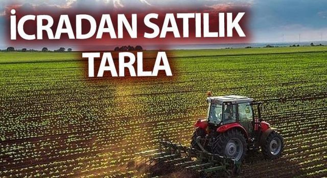 İcradan Satılık Tarla