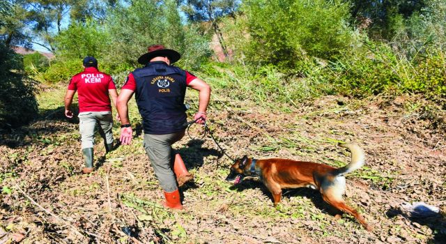 Selde Kaybolan Bebek İçin Arama Kurtarma Çalışmalarına Köpekler de Dahil Edildi