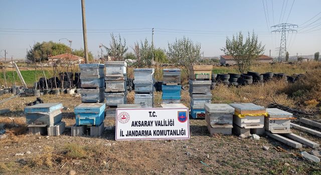 Arılarıyla Çalınan Kovanlar Avanos’ta Bulundu