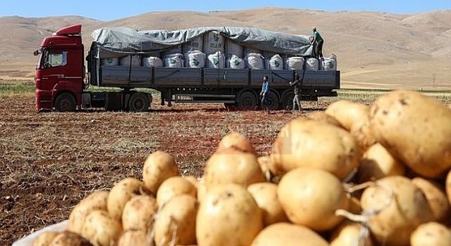 Tarladaki Fiyatı Bile Cep Yakıyor