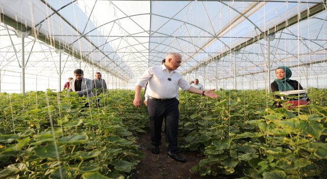 Kadın İstihdamı Gülağaç'ta Kurulan Sera 15 Kadına İş Sağlıyor