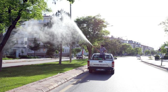 Belediyenin Haşere İle Mücadelesi Sürüyor