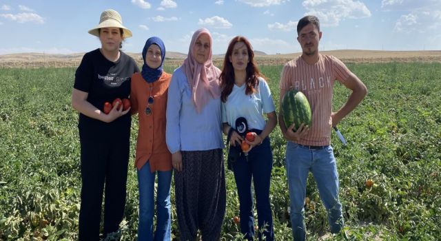 Genç Çiftçi Yıldız Demirtaş, “Bozkırın Makus Kaderine Yenilmek İstemiyorum”