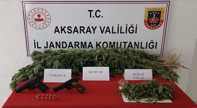 Jandarma Zehir Savaşını Sürdürüyor