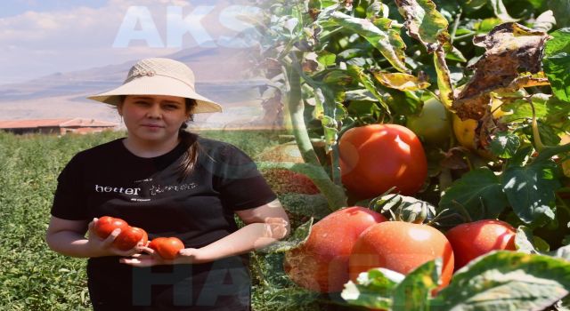 “Ne Karı? Zarar Azaldığına Sevindik”