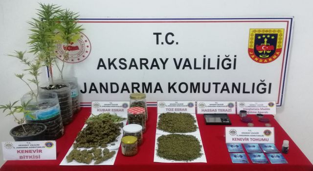 Jandarma 1 Zehir Tacirini Daha Yakaladı