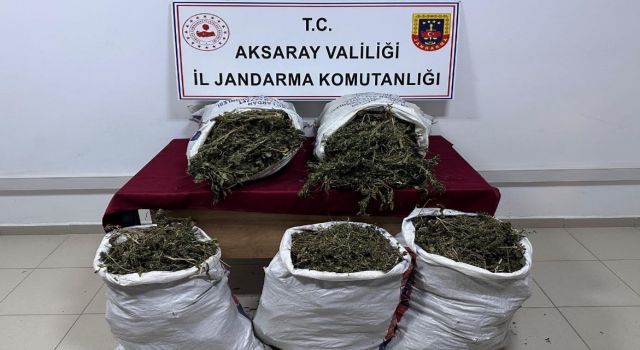 Eşmekaya Kasabasında 37,5 Kilo Kenevir Ele Geçirildi