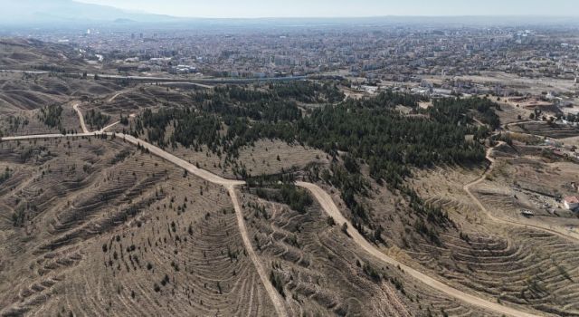 Yeni Mezarlık İçin Yol Çalışmaları Sürüyor