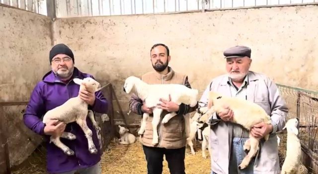 Küçükbaş Hayvan Üreticilerine Müjde