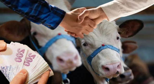Hayvan Satıcılarına Önemli Uyarı Sahte Paraya Dikkat!