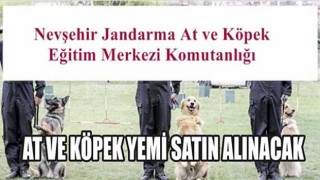 At ve Köpek Yemi Alınacak