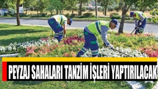 Peyzaj Sahaları Tanzim İşleri Yaptırılacak