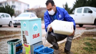 Aksaray Belediyesi, Sokak Hayvanları İçin Doğaya Yem Bıraktı