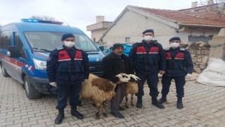 JASAT Koyun Hırsızlarına Göz Açtırmadı