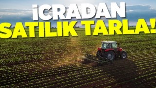 Kastamonu Araç'ta İcradan Satılık 10.159 m² Tarla (Çoklu Satış)