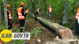 Kontrolörlük ve Teknik Danışmanlık Hizmeti Alınacak