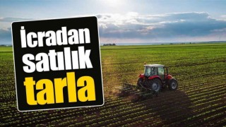 Malatya’da İcradan Satılık Tarla