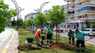 Dinçer “Geleceğimiz İçin Fidan Dikiyoruz”