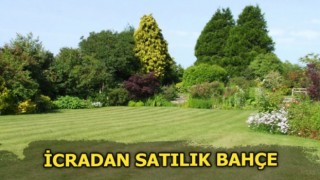 İcradan Satılık Bahçe