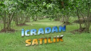 İcradan Satılık Meyve Bahçesi