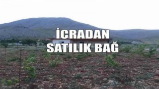 İcradan Satılık Bağ