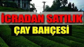 İcradan Satılık Çay Bahçesi