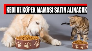 Kedi ve köpek maması satın alınacak