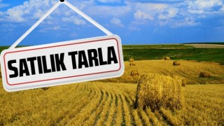 İncesu’da İcradan Satılık Tarla