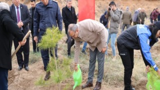 Jandarma Deprem Şehitleri İçin Fidan Dikti