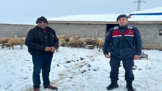 Kayıp Koyunlar Drone ile Bulundu