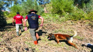 Selde Kaybolan Bebek İçin Arama Kurtarma Çalışmalarına Köpekler de Dahil Edildi