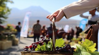 Bağbozumu Festivali 8 Ekim’de