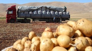 Tarladaki Fiyatı Bile Cep Yakıyor