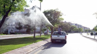 Belediyenin Haşere İle Mücadelesi Sürüyor